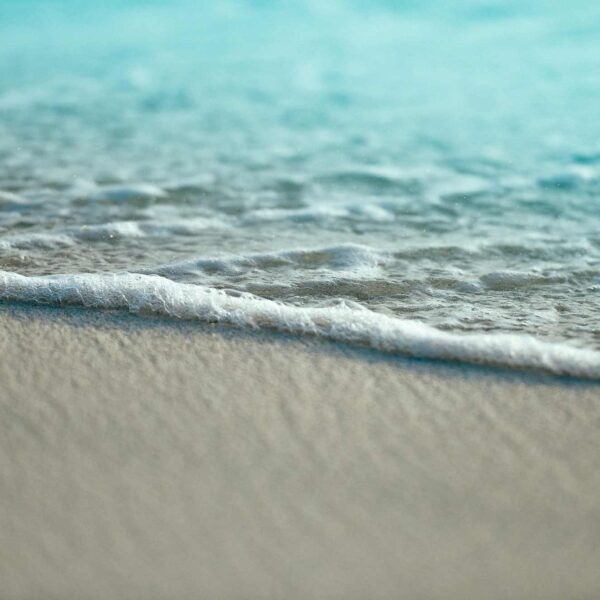 Sample Image 06